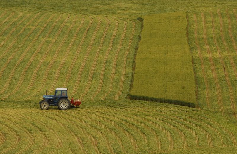 Reduces invasive weed spread