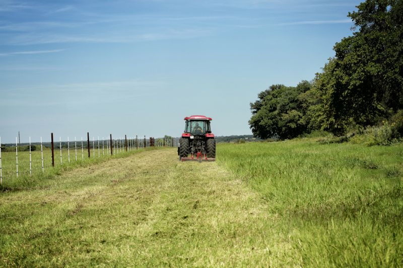 Promotes healthy grass regrowth