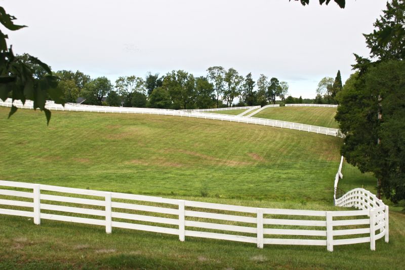 Pasture Mowing