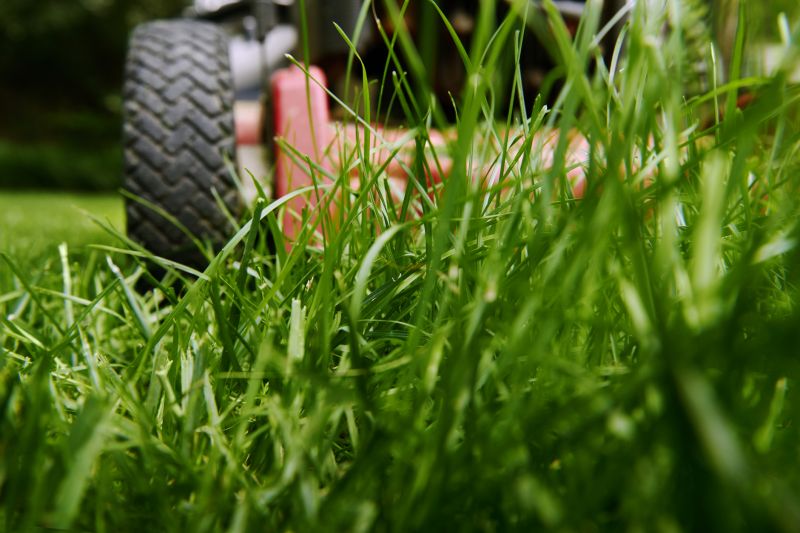 Brush Mowing Service in Prince Georges County, MD