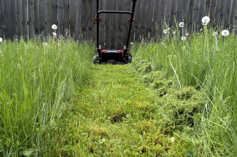 Grass Cutting Service in Bowie, MD
