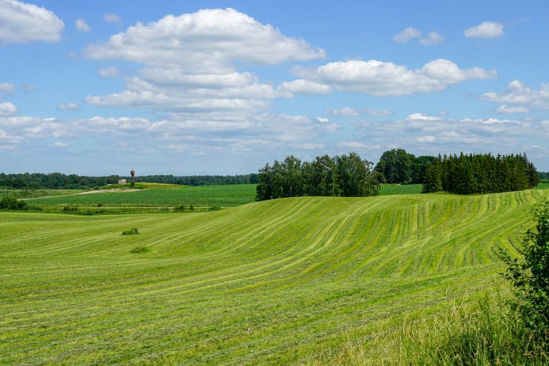 Environmental Considerations